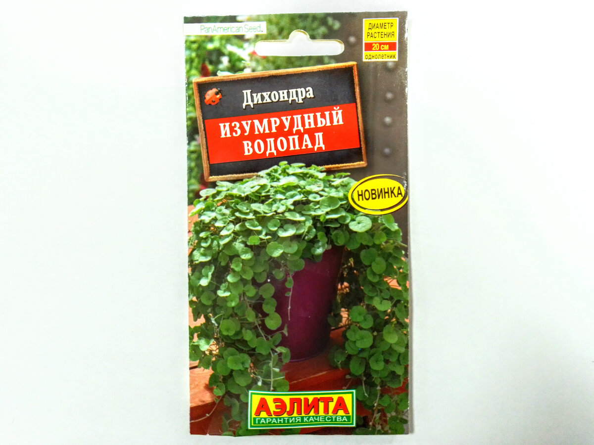 Дихондра Изумрудный водопад, семена Аэлита (3 шт.), 18 ноября 2021