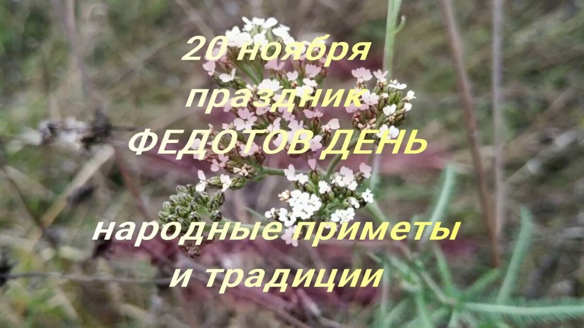 20 примет. Народный праздник Федотов день. Федотов день 20 ноября. 20 Ноября приметы дня. Федотов день народные приметы.