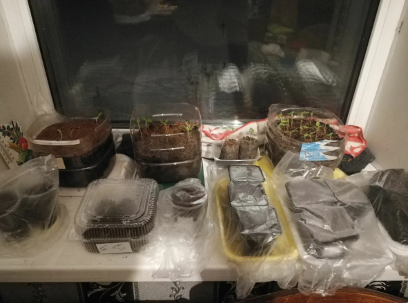 Сеяла во что придется, собирала все это, захламляла углы, шкафы