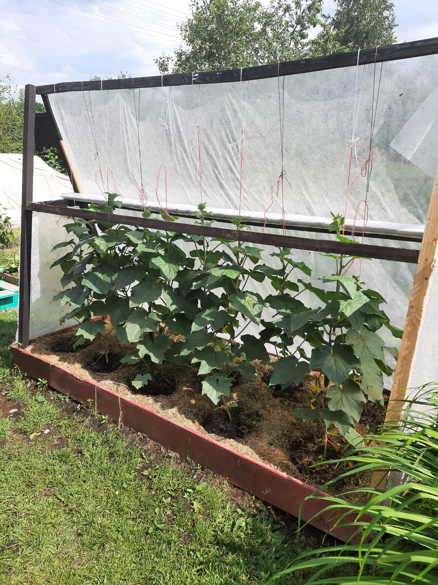 Просто и удобно. 