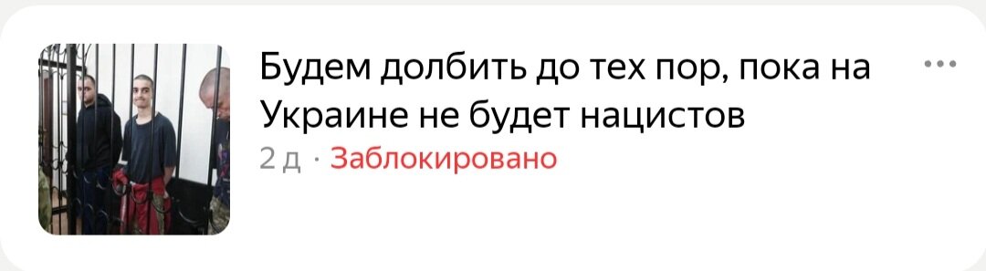 Статья про Спецоперацию на Украине заблокирована