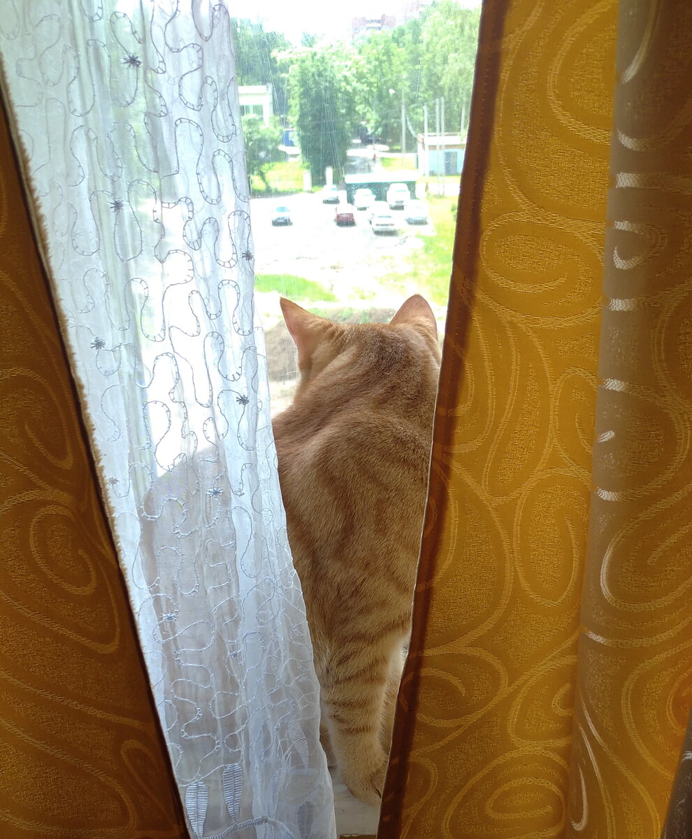 личное   фото.