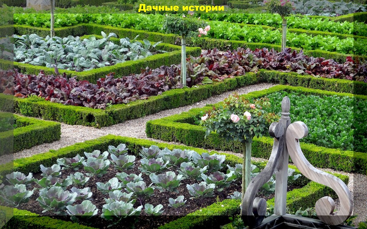 https://vk.com/photo-159774511_457254805