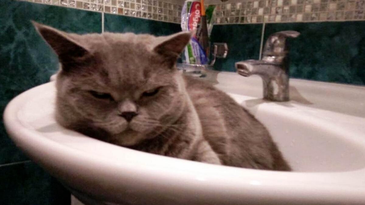    Крупная коммунальная авария в Саратове – последствия устраненыНовости Саратова и области – Сетевое издание «Репортер64»