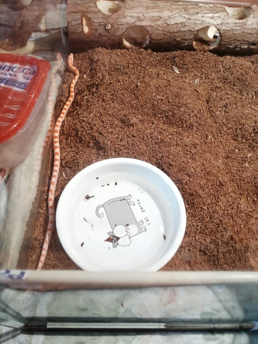 Вот такая она была когда я ее только купил😂😂😂