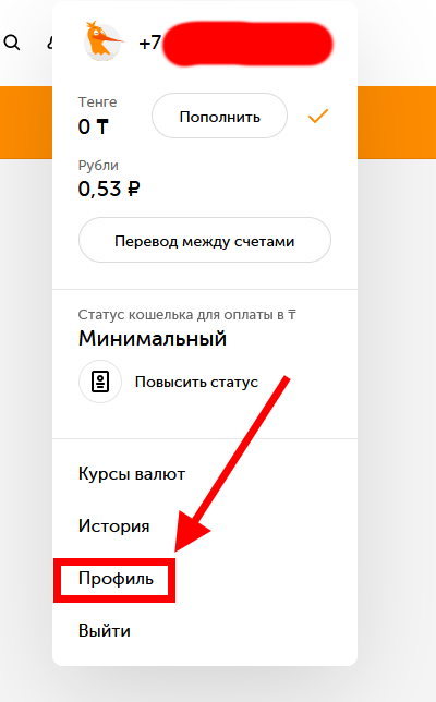Как пополнить кошелек стим через киви тенге. Как пополнить кошелек стим через киви тенге