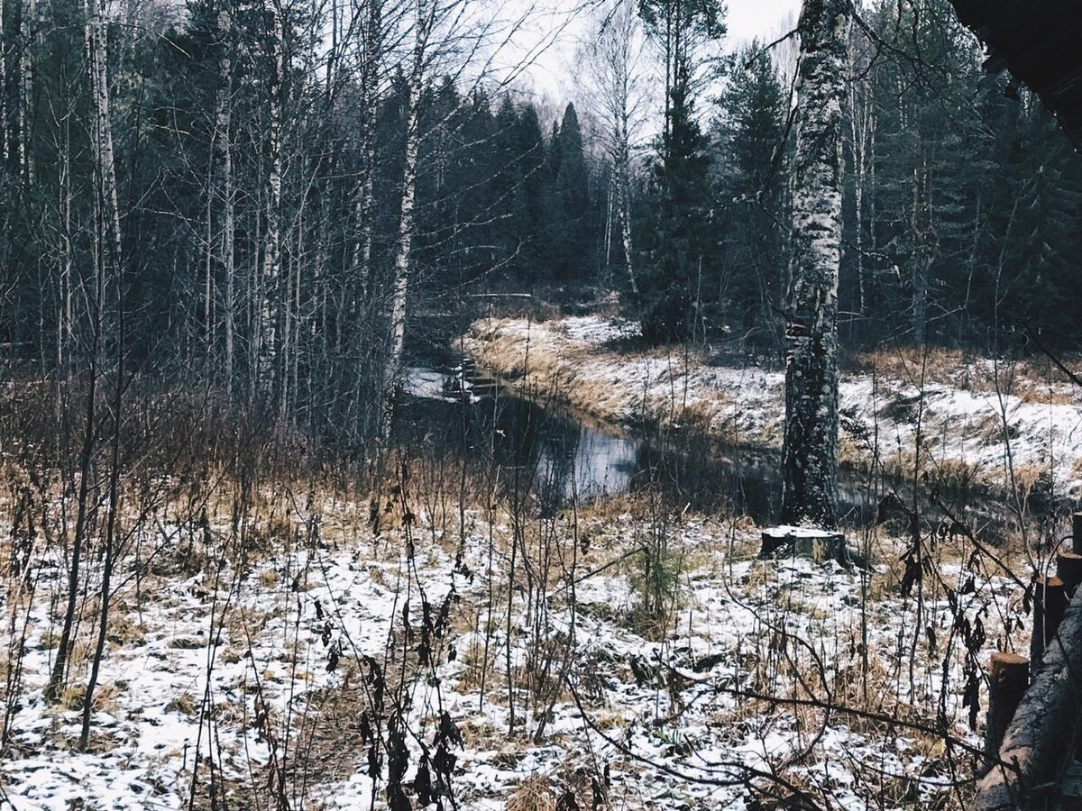 Койгородский национальный парк. Фото из открытых источников.