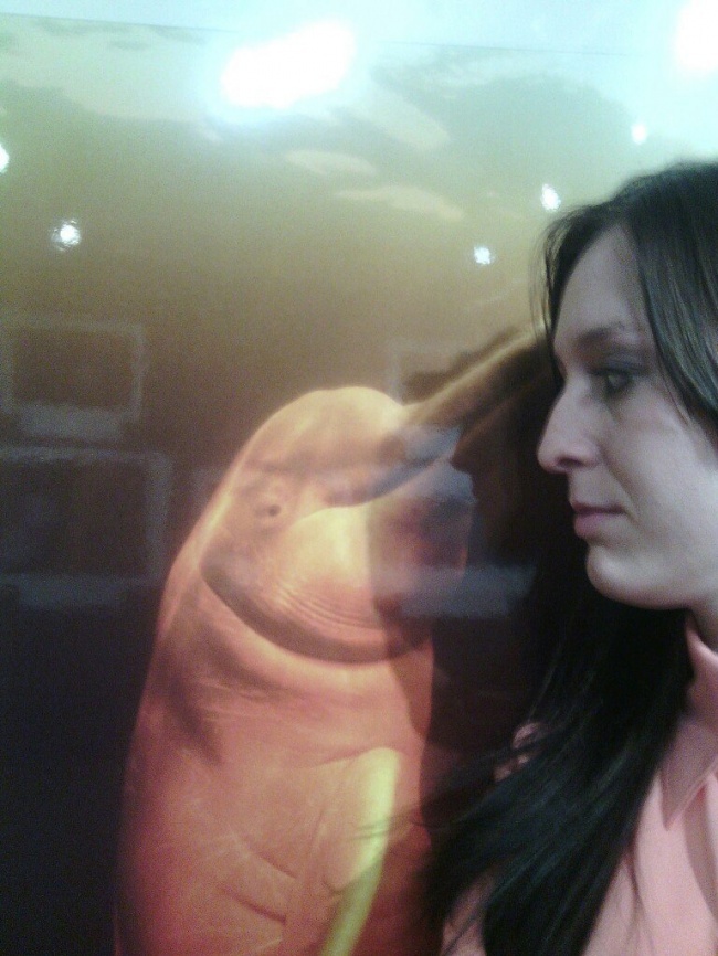 © jagielski / pikabu  