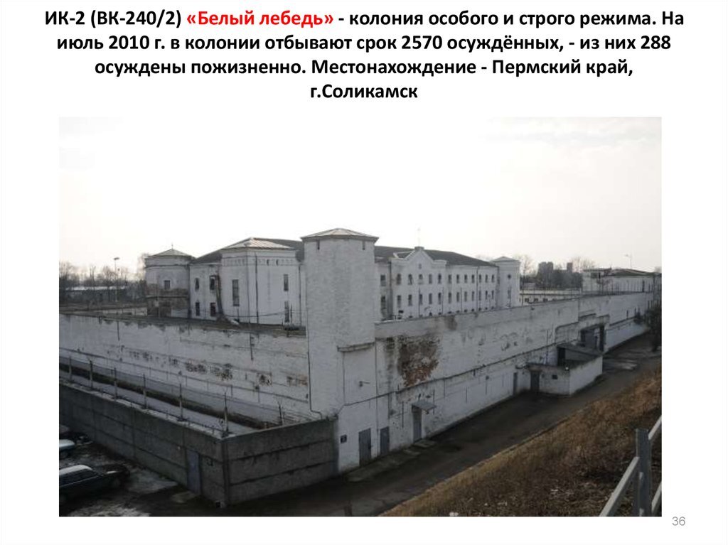 История белого лебедя. Тюрьма белый лебедь Пятигорск. Соликамск тюрьма белый лебедь. Колония белый лебедь в Соликамске. ИК-2 белый лебедь.