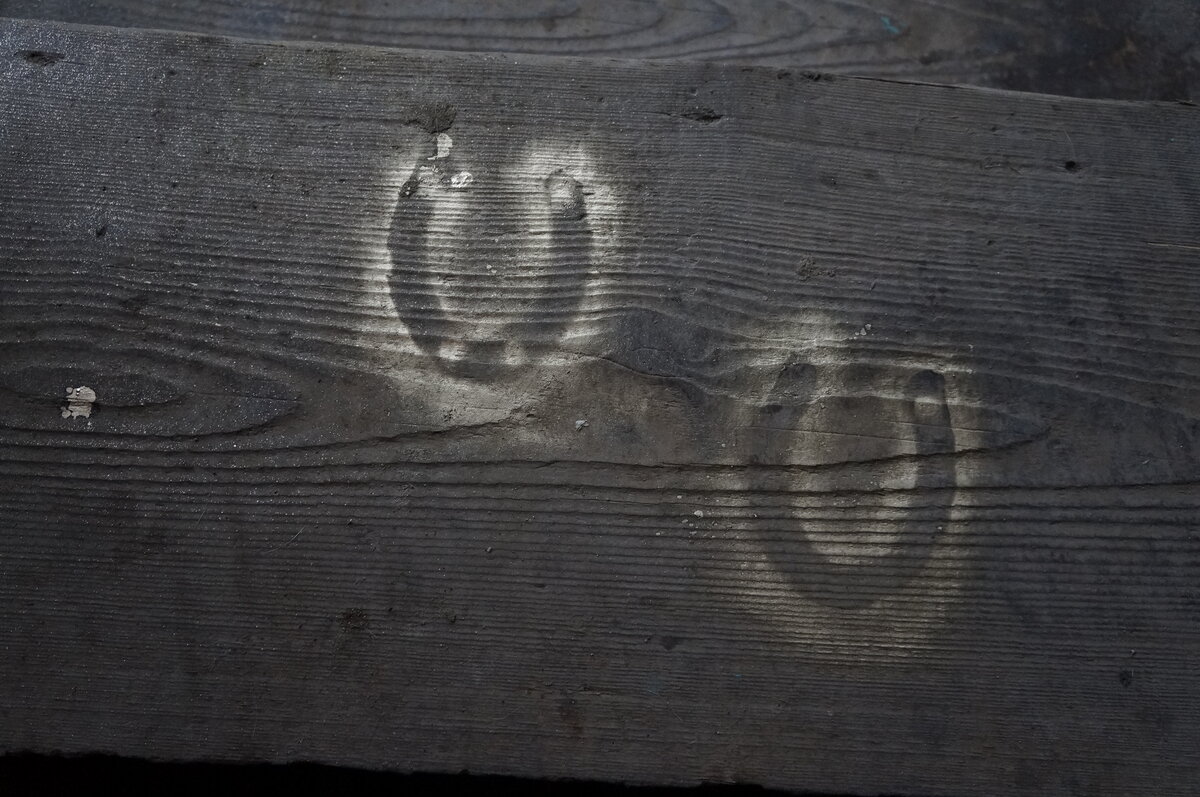 
-Убить дракона! Убить дракона! Убить дракона! 

-Ох, ну кого там опять принесло?! Подвигов что -ли захотелось? Нет? 
Справедливости? Овец я у вас потравил? Я?! Надо они мне! Вы лучше вон у пастуха спросите, откуда у него новый пиджак с карманами?! А то, как чуть что, дракон, дракон! Травоядный я вообще-то! Ящерица я с крыльями! Ну да, большая! И что? 
Куда девицы подевались? А это вы спросите у тех залётных артистов, помните, пели песни у вас, глядишь и найдёте! 

Дракон, дракон, всё мы вам виноватые!

Дракон гневно взмахнул крыльями, подняв тучу пыли, и не обращая внимания на крикунов, уполз в свою пещеру. Надо бы сокровища пересчитать, а то придут такие, одни орут, а вторые и третьи шмыг в пещеру, потом алмазов с изумрудами не досчитаешься!

За столом сидела Баба Яга, и пила чай, заедая вкуснейшими, собственной выпечки баранками.

-Ну что, опять герои приходили?

-Нет, детективы деревенские, леший их за ногу!

-Ты, что хвостатый, зачем мне их ноги? -Леший выглянул из угла, где отсыпался после бурной ночи, - ты их портянки хоть раз нюхал?

Баба Яга сочувственно хмыкнула:

-Да, развелось нонеча "мудрецов"! Сами нашкодят, потом вон операции Ы всякие придумывают, или крайнего дракона ищут! А другие страхов себе напридумывают, как в том анекдоте: Ты кто? Мышка! А почему глаза такие большие? Какаю!

Дракон расхохотался, да так что стены задрожали, присел к столу, налил себе чаю:

-Да, ладно! Пусть себе развлекаются! Они ж как дети малые! 

Троица долго сидела за самоваром, обсуждая мировые новости, а за стенами пещеры гудело собрание, разбирая, откуда пиджак с карманами, и на какие шишы староста себе дачку в Средизеноморье поставил, погудели, погудели, да так ничего и не решили....наверное, бес всех попутал!

Так ведь просто всё! Свалили на беса, на дракона, у них шеи толстые, выдержат, а сами знать ничего не знаем, не ведаем! И вообще наша хата с краю! 


© Copyright: Надежда Мунцева, 2016
Свидетельство о публикации №116040409438