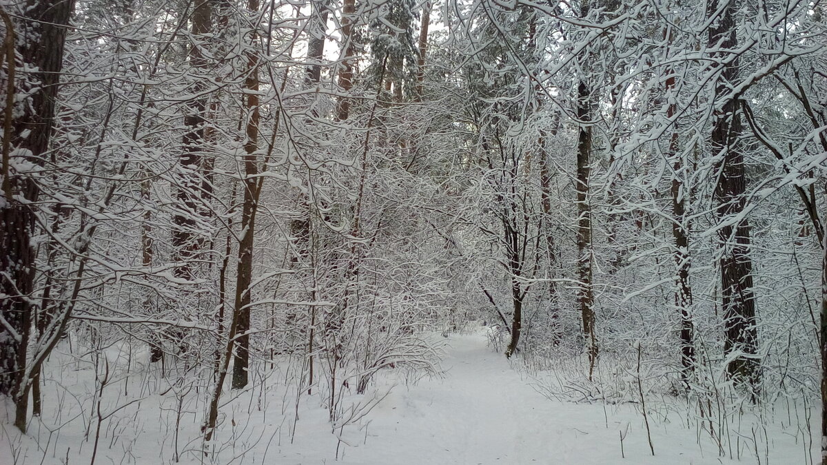 Что-то невероятное.