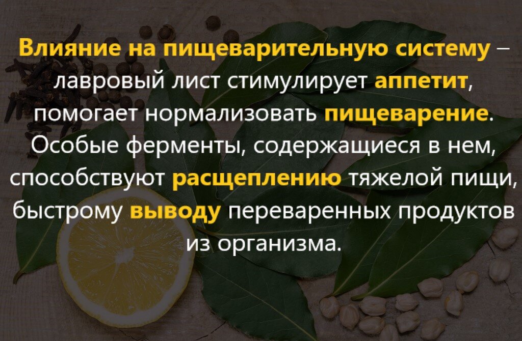 настой из лаврового листа. лавровый лист польза для здоровья. чем полезен лавровый лист. чем полезен лавровый лист. лавровый лист для здоровья.