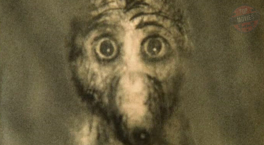 Эту советскую ленту часто называют «лучшим анимационным фильмом всех времен и народов». Почему же мы не поставили ее на первую позицию? Потому что восторгаются ею в основном критики и аниматоры С точки зрения профессионалов, это выдающееся достижение - фактически бессюжетное и бессловесное произведение, вызывающее эмоциональный отклик за счет сложных образов и идеально подобранной музыки. Но так ли популярна «Сказка сказок» у рядового зрителя? Нет, и понятно почему: если в фильме нет сюжета, памяти трудно за что-то зацепиться. Это блестящая анимация ради анимации - и лишь во вторую очередь ради зрителей.