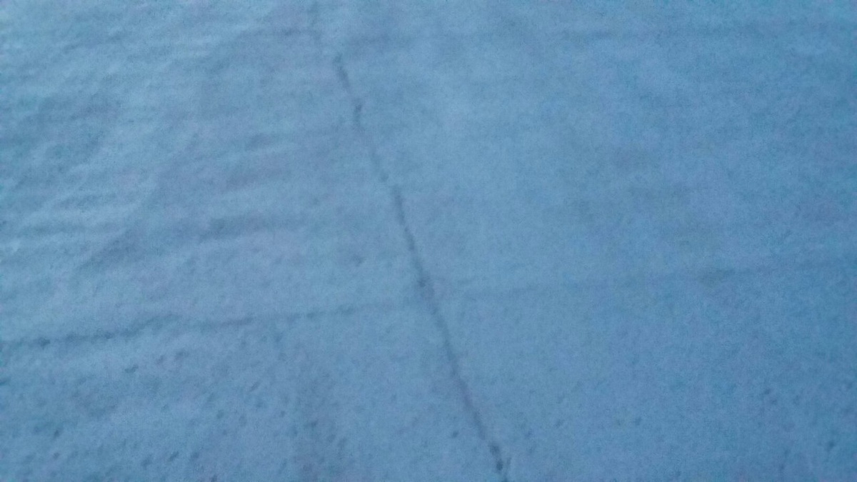 Трещины остались там же, где и были