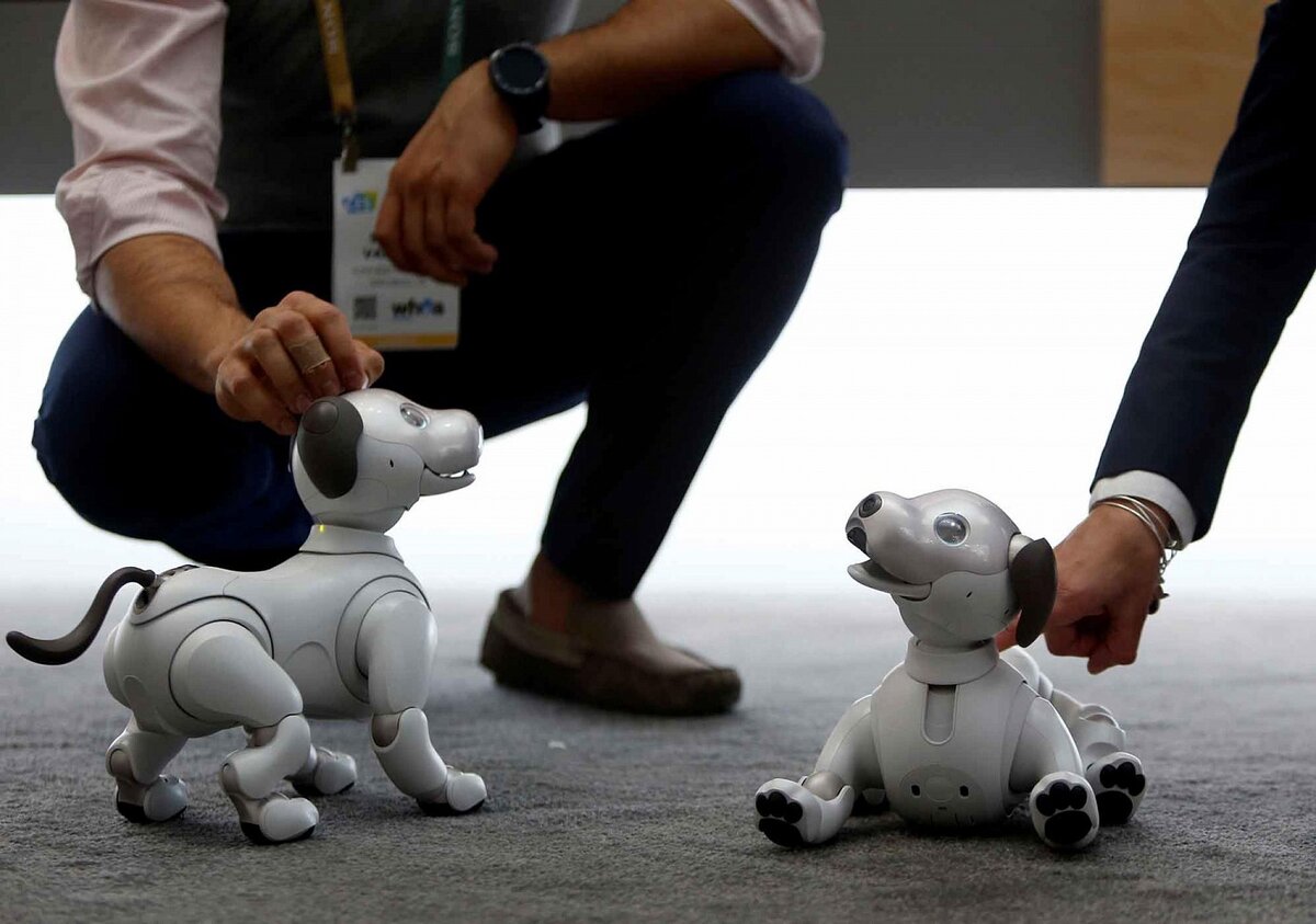 Роботы собаки на открытии игр. Sony Aibo 1999. Робот собака Aibo. Собака робот Япония Aibo. Собачка Aibo корпорации Sony..