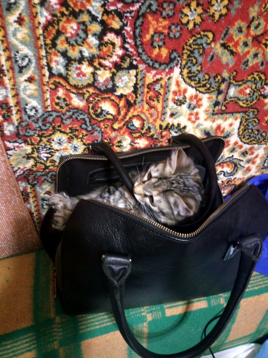 Ну и как можно в сумке что-то спрятать?