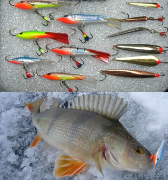 Зимняя рыбалка на окуня на балансир и блесну - видео