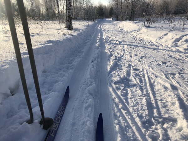 Бег на лыжах