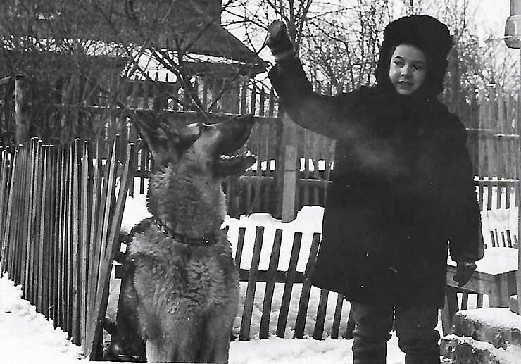 Моя первая собака Гест - Восточно европейская овчарка