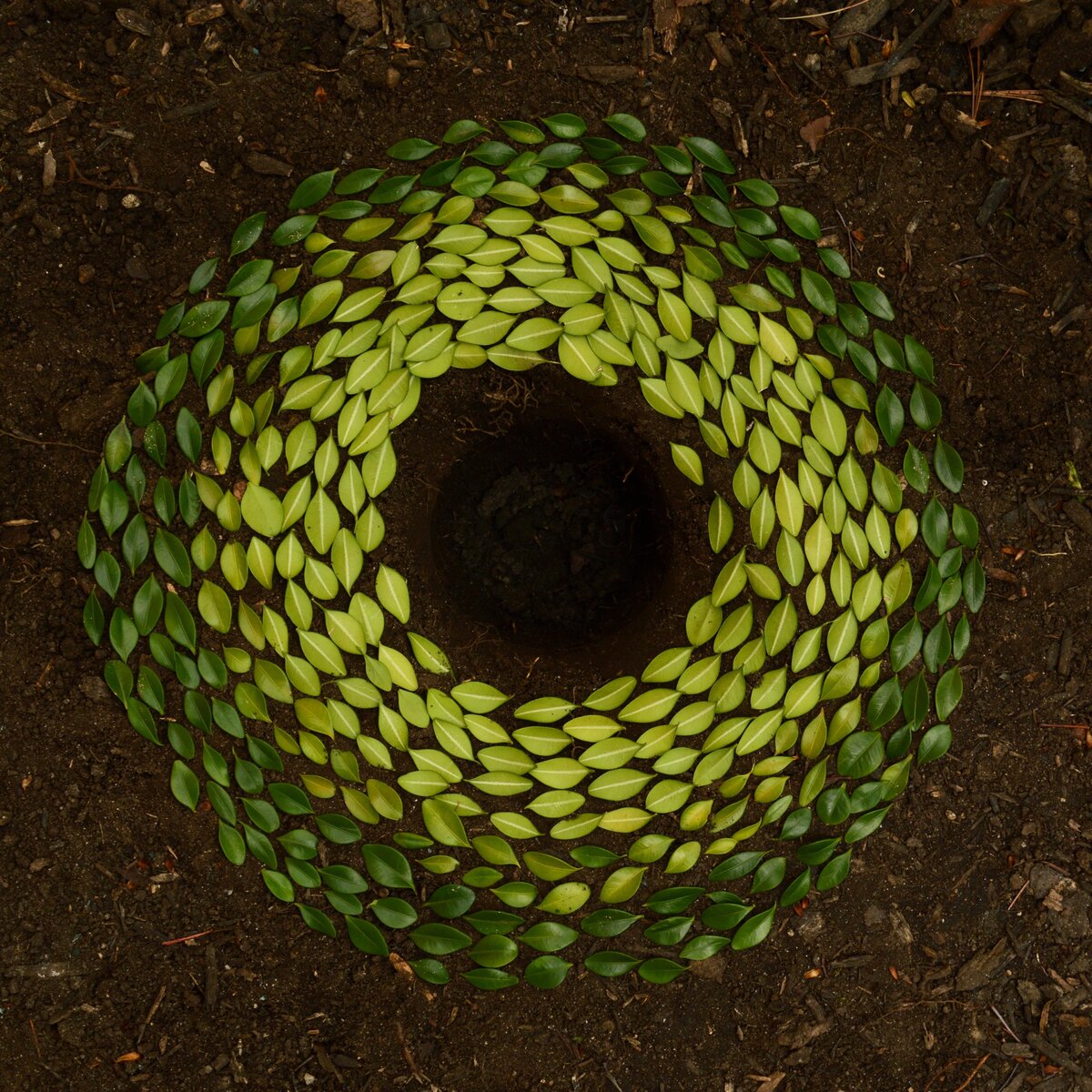 Источник фото: unsplash.com