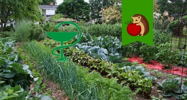 Фото: http://dom-sad911.ru/wp-content/uploads/2014/11/uvelichit-ogorod.jpg