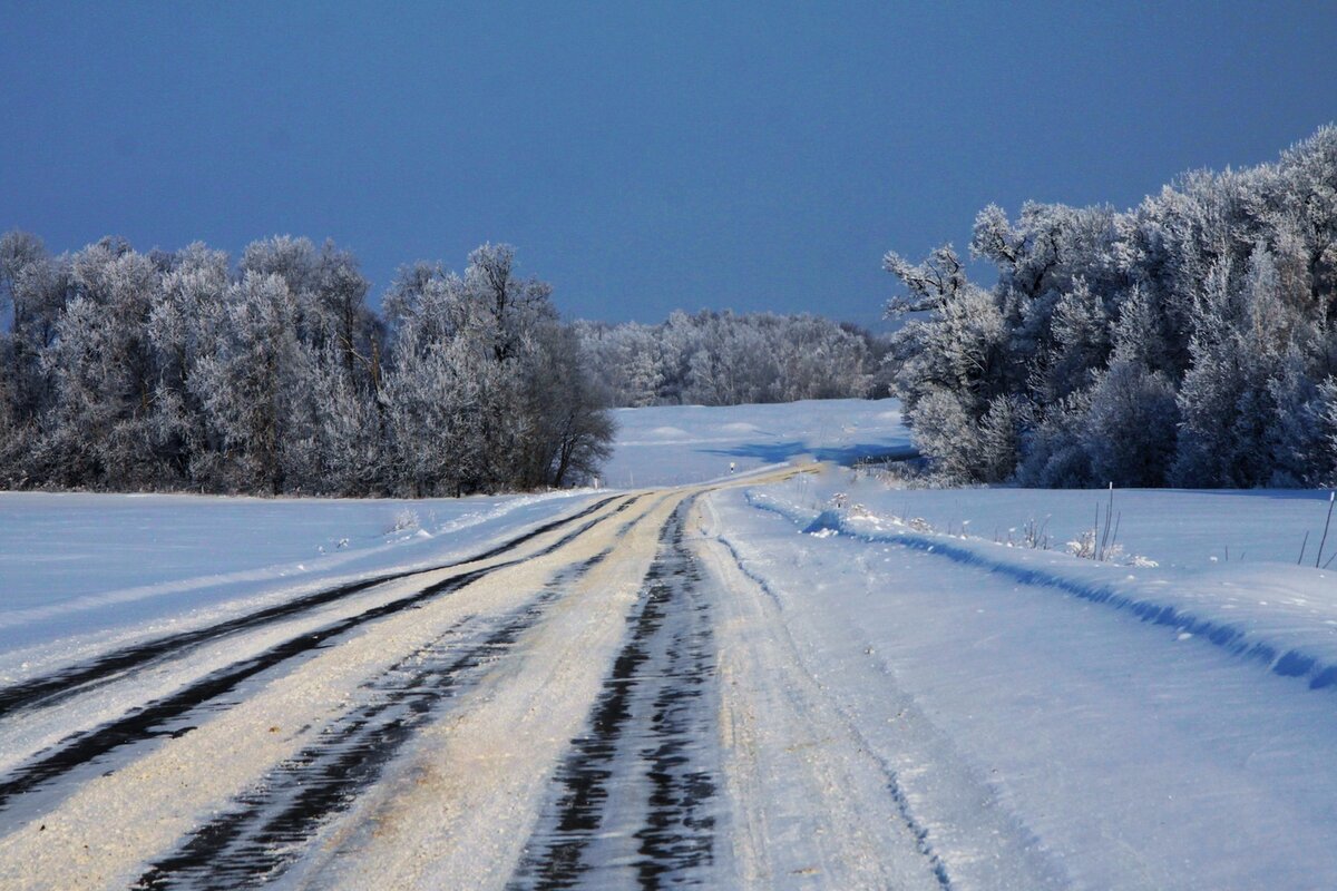 Фото с сайта: photocentra.ru