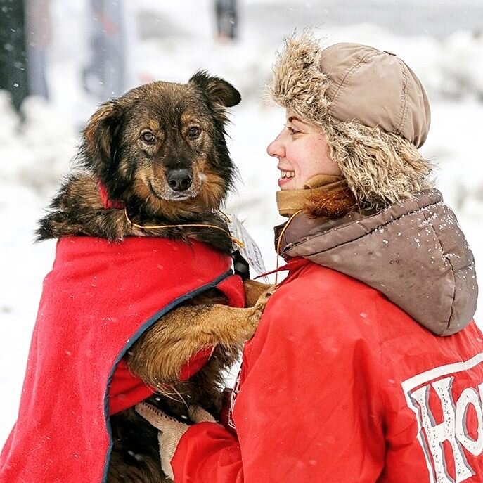 Тинки очень идёт попона! Правда, надели её немного неправильно