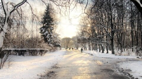 Какая компенсация полагается потерпевшему, если травма получена из-за скользкого льда?