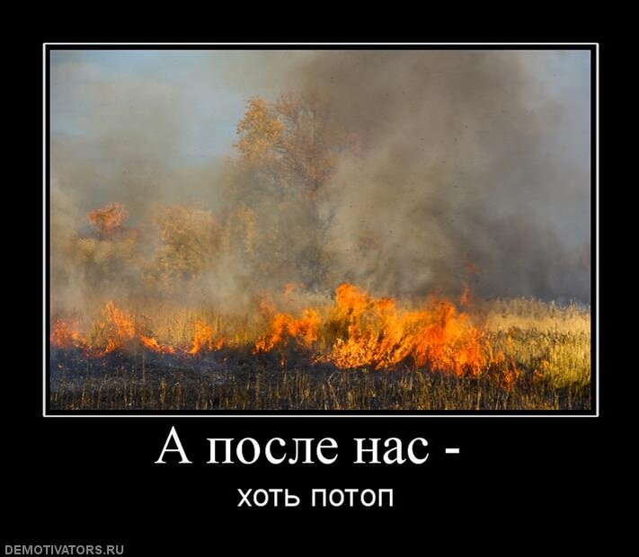 Правительство подожгло. 