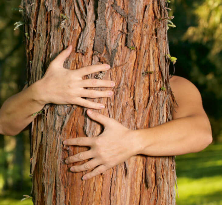 Фото взято с просторов интернета 