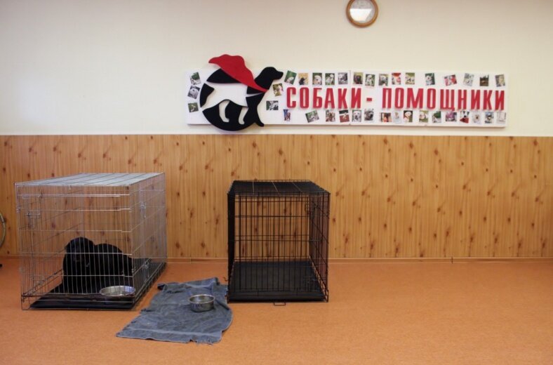 Фото: Александра Захваткина / АСИ 