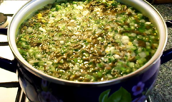 Вкуснющий зеленый борщ из щавеля - простой горячий обед всего за 30 минут