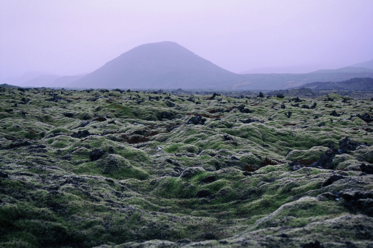 лавовые поля южного побережья
