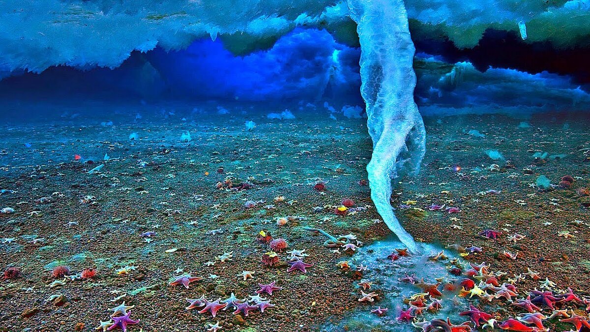 Нет, это не фотошоп