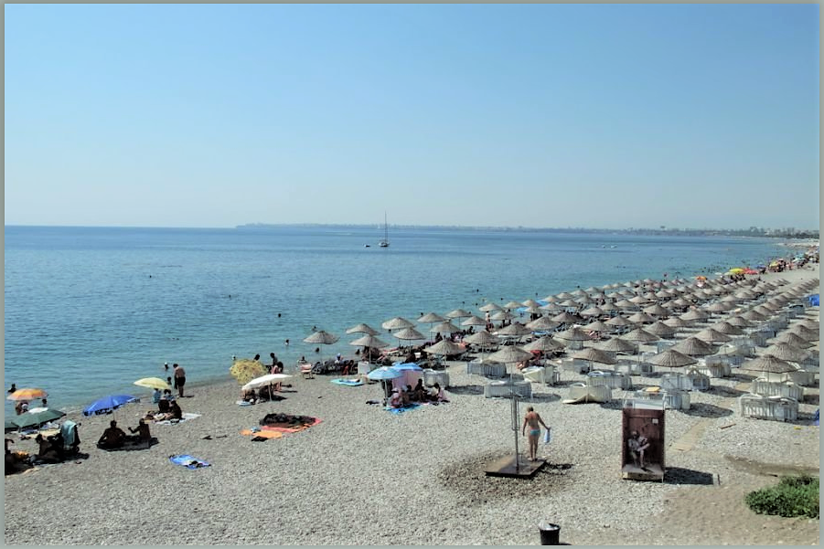 фото из открытых источников yandex.ru