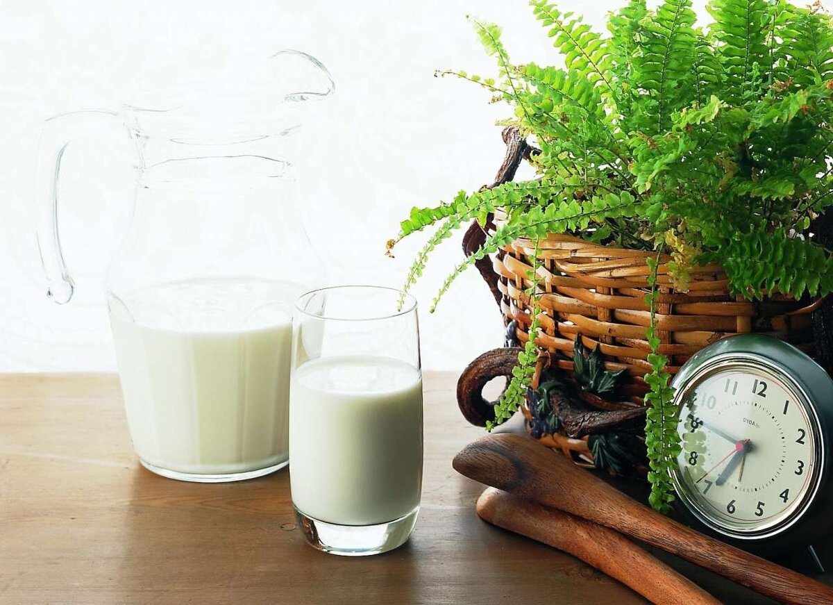 кефир утром натощак польза