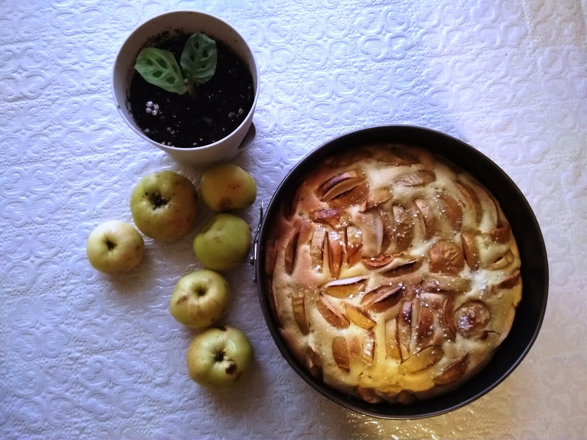 Самая пышная и вкусная шарлотка по-ижевски, которая получается всегда! |  Про Ижевск | Дзен