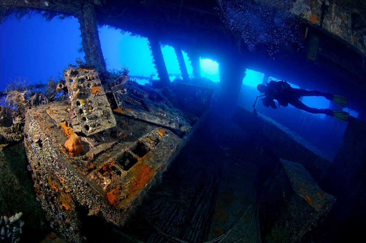 Подводный мир кипра