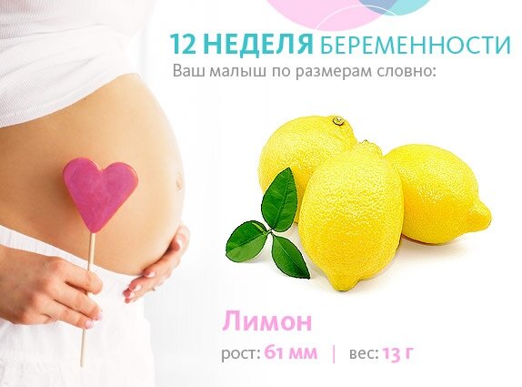 На 12 недели малыш размером с лимон