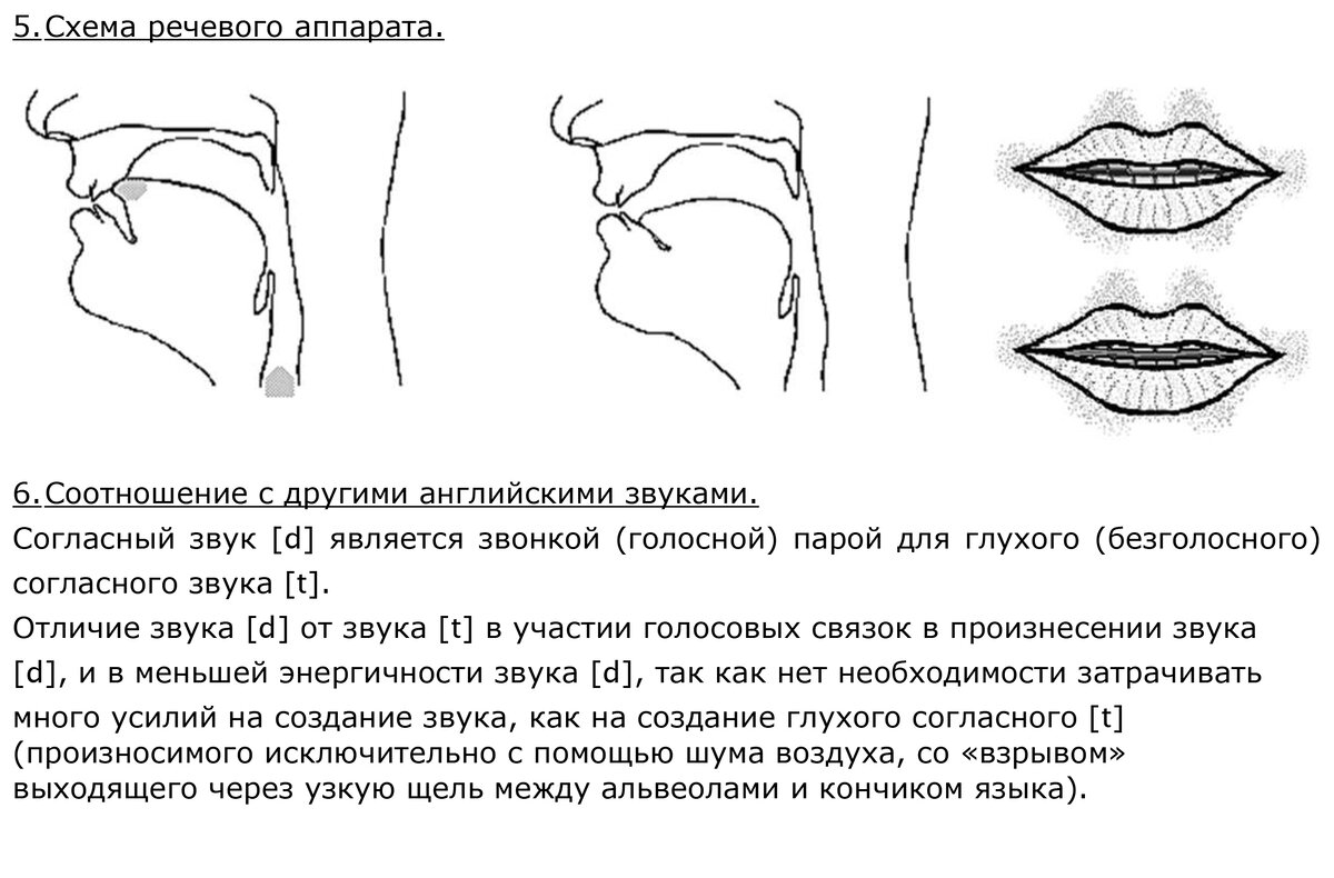 d] & [t] - взрывные альвеолярные Д и Тʰ | Учите английский? | Дзен