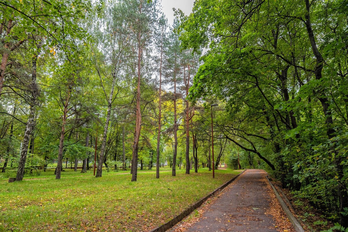 Парк швейцария нижний новгород. Парк швейцария нижний новгород до реконструкции. От московского вокзала до парка швейцария. Дорожки парк швейцария. Парк швейцария нижний новгород.