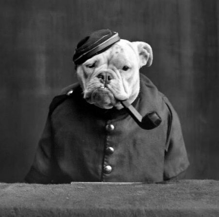 Недостает всего двух деталей: стакана хорошего коньяка и вальяжных разговоров про политику.