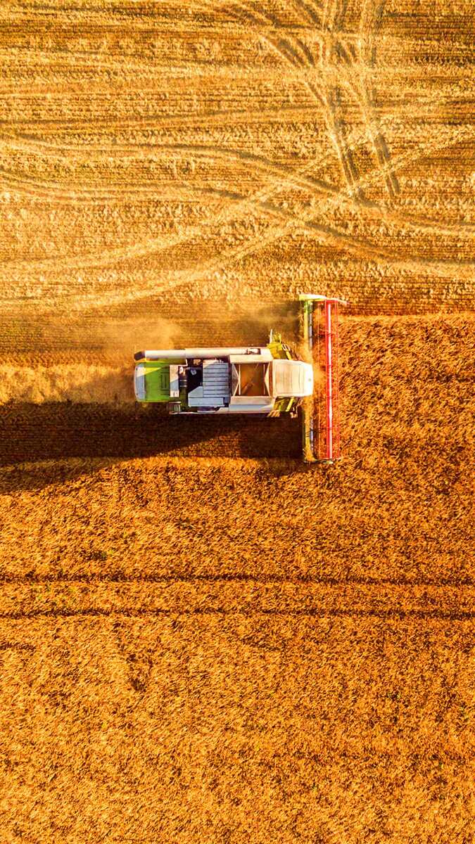 Интересно хоть кто то знает, что он делает деревенский трудяга как же охото сейчас к бабушке в деревню, попить тёплого домашнего молока и уснуть где то на сеновале, поставьте лайк кто хочет так же. 