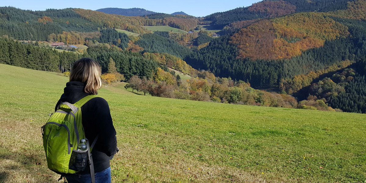 Image from - the-black-forest.com