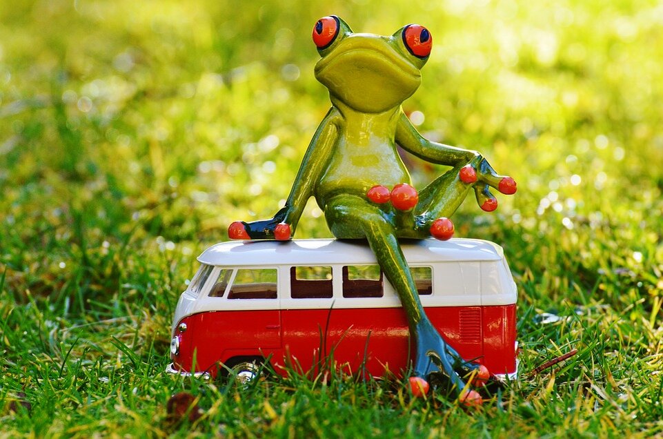 https://pixabay.com/photos/frog-bulli-volkswagen-animal-cute-1109777/