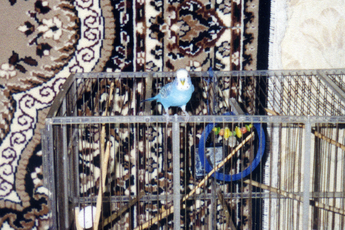 Яша на крыше своей резиденции - одна из немногих сохранившихся у мужа его фотографий.