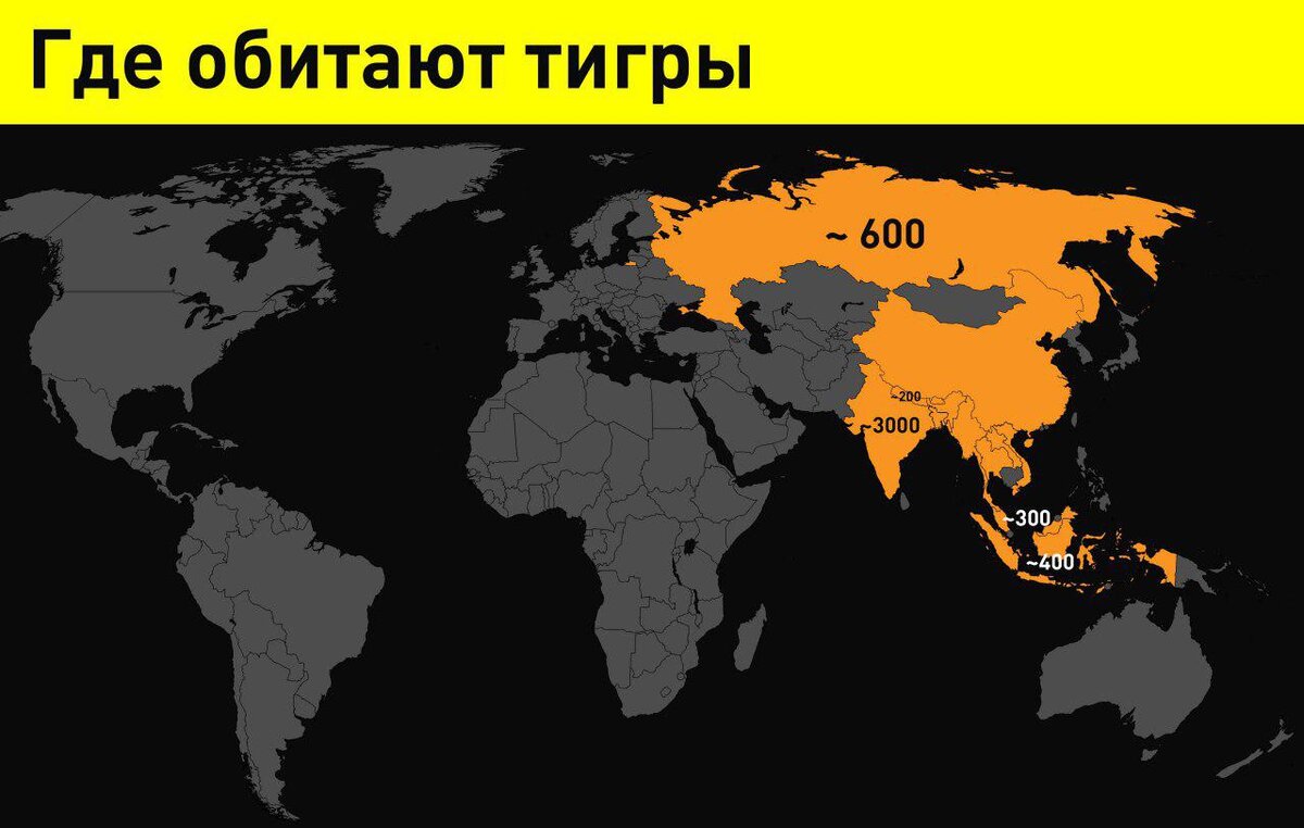 Где обитают тигры карта