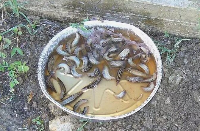 фото с просторов интернета