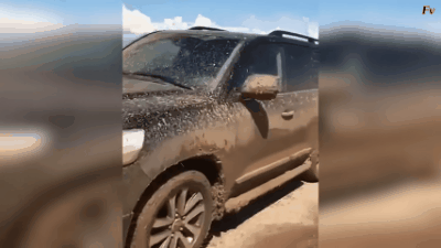 Ахах, 2 сантиметра болота. Крузак был на высоте)