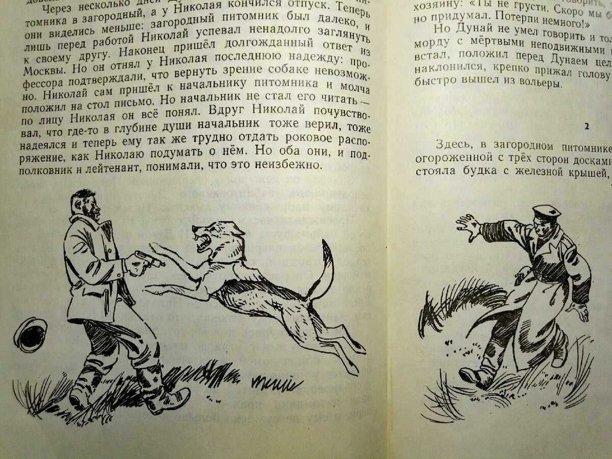 паустовский дружище тобик. паустовский дружище. рисунок паустовский дружище тобик. борис степанович рябинин дружище тобик. эренбург, к.